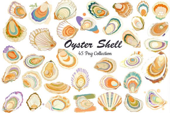 Watercolor Oyster Shell Clipart for Creative Projects